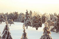 Blog-Artikel 3